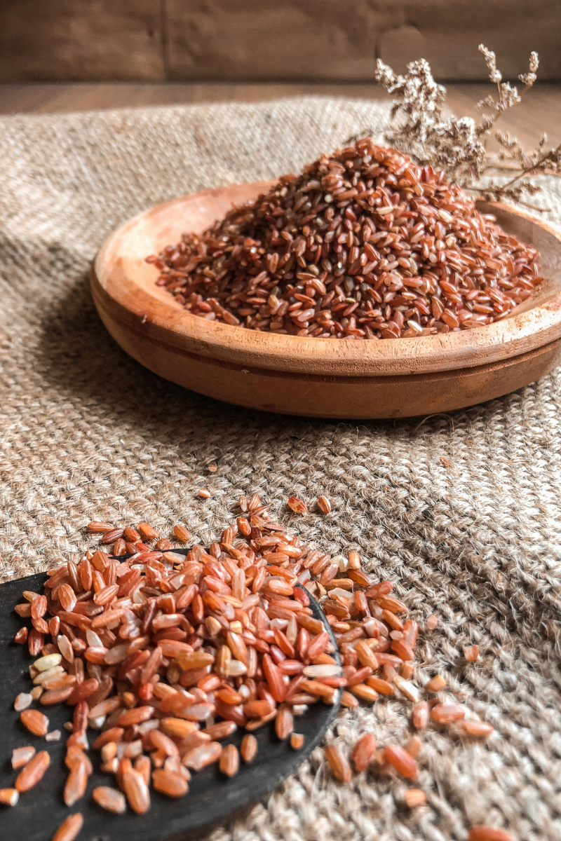 Avantages de la protéine de riz